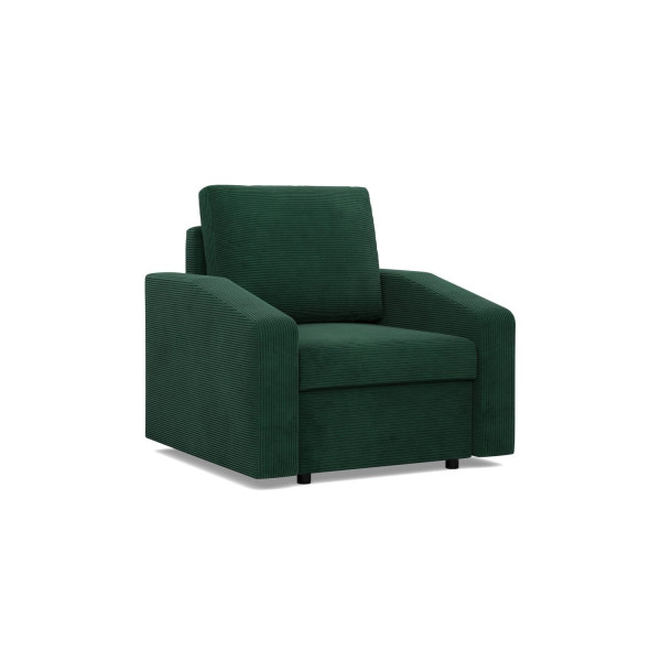Fotel do salonu, Gabinetu, Komfortowy, Kolor Zielony 539154