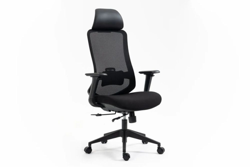 Fotel ergonomiczny Ergon czarny 916901