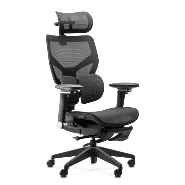 Fotel ergonomiczny Ergoshape 2.0 czary siatka podnóżek 1004883