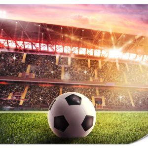 Fototapeta Piłka nożna na stadionie 500x350cm 986866 Fototapeta Piłka nożna na stadionie 500x350cm 986866
