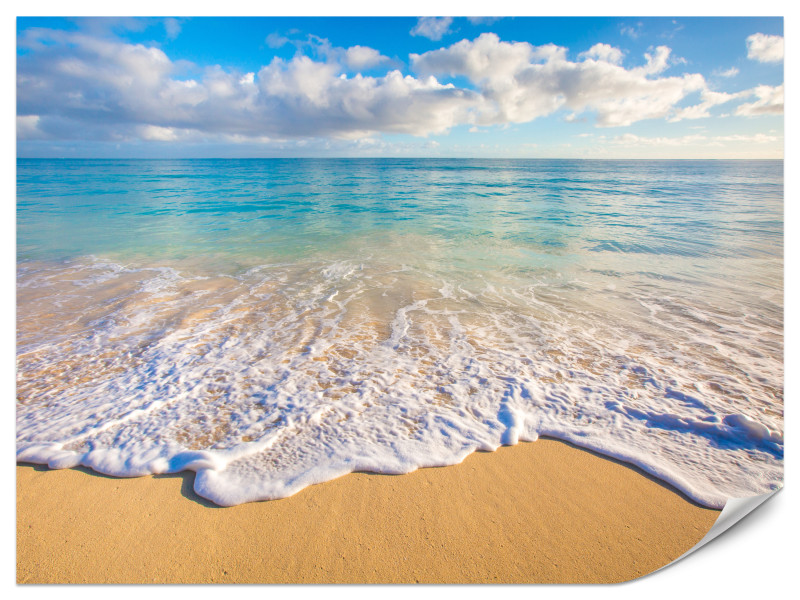 Fototapeta Plaża Morze Fale 450x315cm 982129
