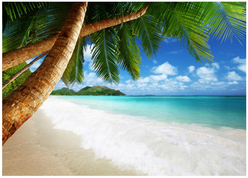 Fototapeta Plaża Morze Palmy Do Sypialni Tapeta 300X210 267235