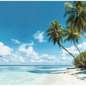 Fototapeta plaża morze palmy krajobraz na ścianę sypialnia salon 400×280 712280 Fototapeta plaża morze palmy krajobraz na ścianę sypialnia salon 400×280 712280