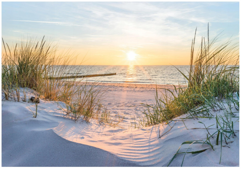 Fototapeta Plaża Morze Wydmy Bałtyk Widok Do Sypialni Salonu Tapeta 350X250 517281