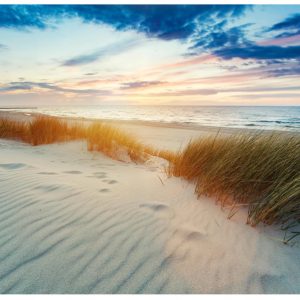 Fototapeta Plaża Morze Wydmy Do Sypialni Tapeta 250X175 267206 Fototapeta Plaża Morze Wydmy Do Sypialni Tapeta 250X175 267206