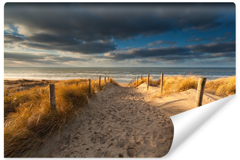 Fototapeta Plaża Nad Morzem Północnym 368x280cm 228561