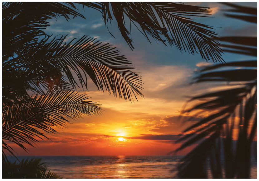 Fototapeta Plaża Pomarańczowy Na Flizelinie Do Sypialni Salonu 250x175 762349