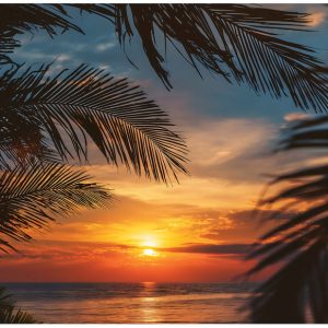 Fototapeta Plaża Pomarańczowy Na Flizelinie Do Sypialni Salonu 350×250 762300 Fototapeta Plaża Pomarańczowy Na Flizelinie Do Sypialni Salonu 350×250 762300