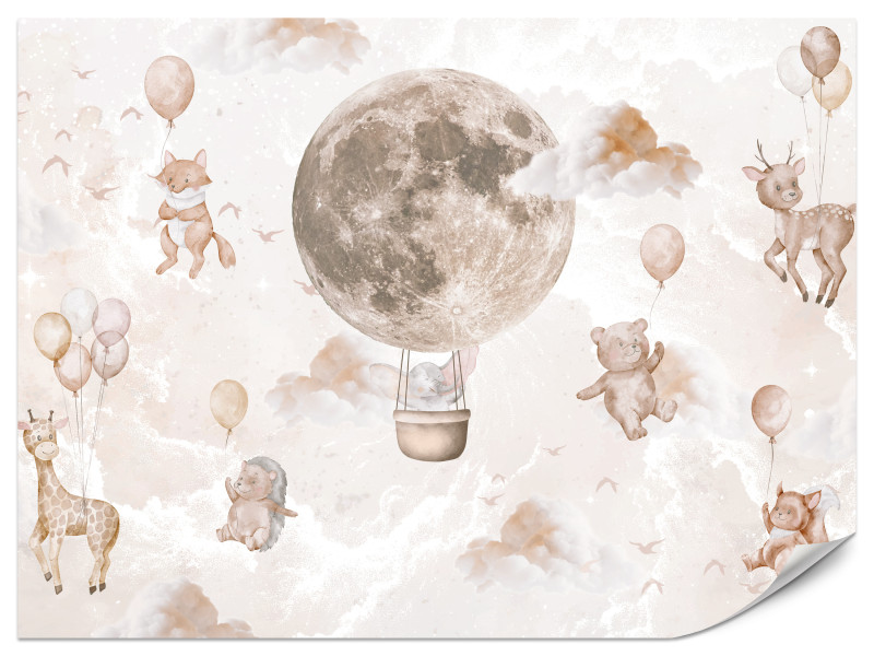 Fototapeta Podniebna przygoda 500x350cm 959984