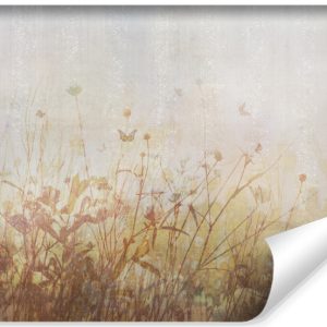 Fototapeta Polne Kwiaty Na Betonie 400x280cm 316481