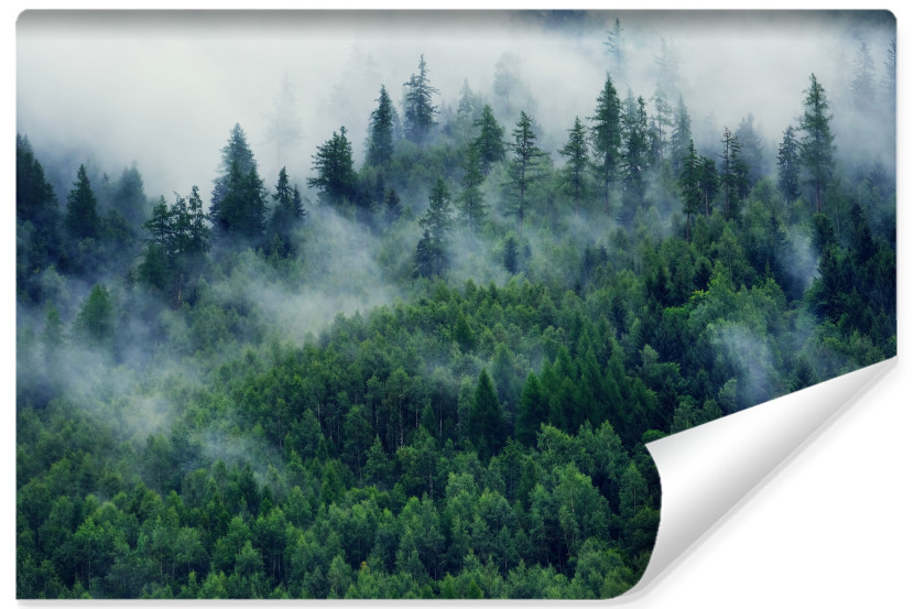 Fototapeta Poranna Mgła W Górskim Lesie 3D 360x240cm 170352