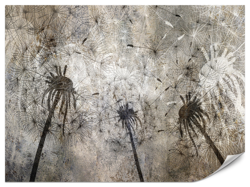 Fototapeta Poruszone tchnienie 150x105cm 976120