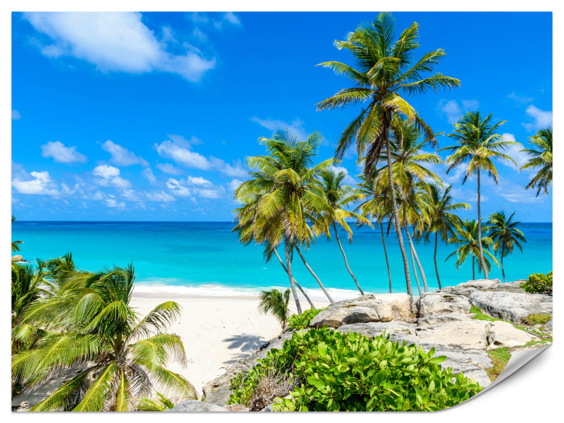 Fototapeta Rajska plaża 350x256cm 976072