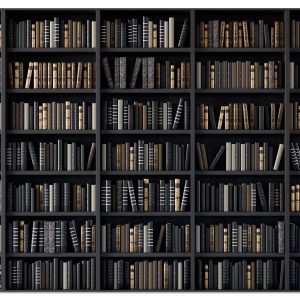 Fototapeta Regały z książkami 100x70cm 985481