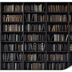 Fototapeta Regały z książkami 350x256cm 987256