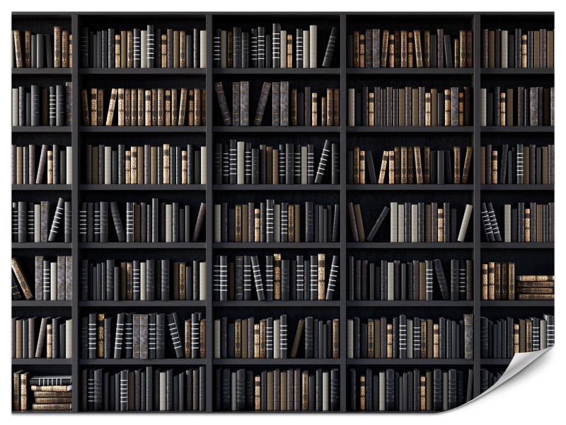 Fototapeta Regały z książkami 450x315cm 985950