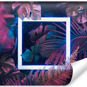 Fototapeta Rośliny TROPIKALNE Kwadrat 3D 368x254cm 254606 Fototapeta Rośliny TROPIKALNE Kwadrat 3D 368x254cm 254606