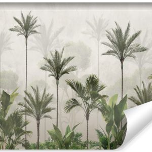 Fototapeta Rośliny TROPIKALNE Palmy Zieleń 450x300cm 244662 Fototapeta Rośliny TROPIKALNE Palmy Zieleń 450x300cm 244662