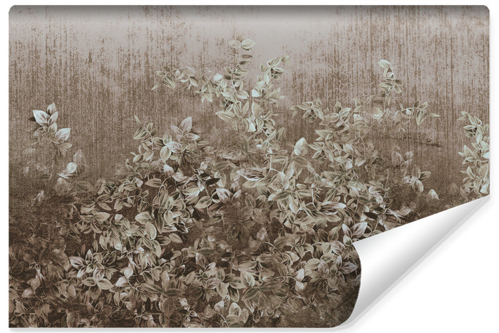 Fototapeta Rośliny W Stylu Vintage 180x120cm 323906