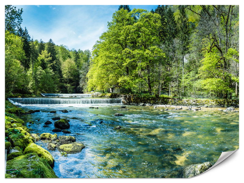 Fototapeta Rzeka 250x175cm 984443