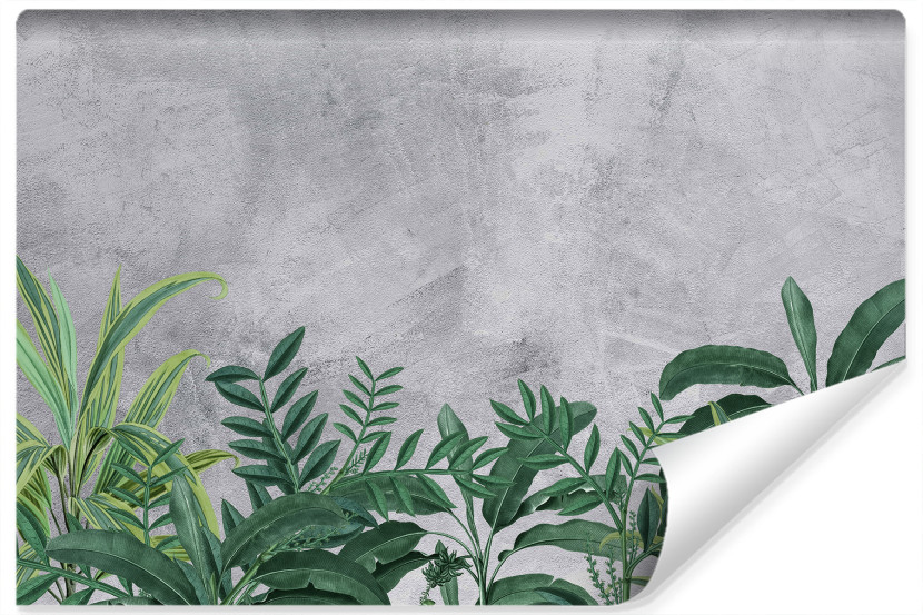 Fototapeta Zielone LIŚCIE Beton Efekt 3D 360x240cm 261573