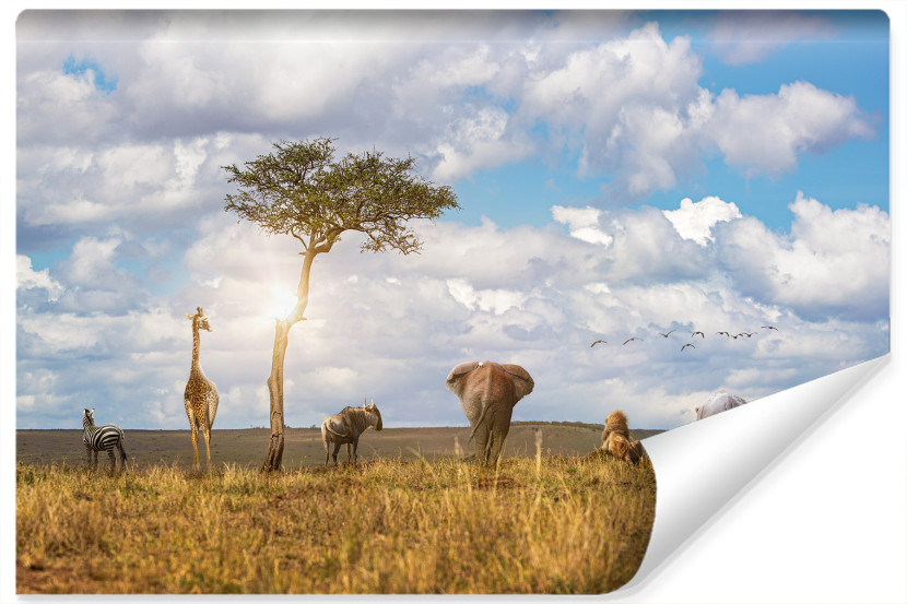 Fototapeta ZWIERZĘTA Safari Słońce Natura 208x146cm 253054