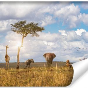 Fototapeta ZWIERZĘTA Safari Słońce Natura 405x270cm 253040 Fototapeta ZWIERZĘTA Safari Słońce Natura 405x270cm 253040