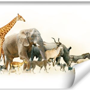 Fototapeta Zwierzęta SŁOŃ Żyrafa Zebra 3D 460x300cm 253032 Fototapeta Zwierzęta SŁOŃ Żyrafa Zebra 3D 460x300cm 253032