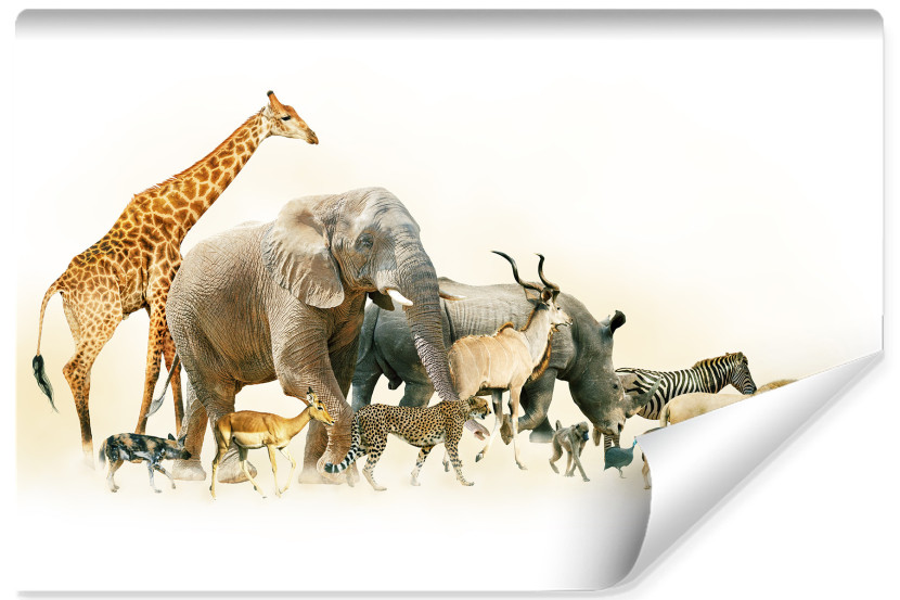 Fototapeta Zwierzęta SŁOŃ Żyrafa Zebra 3D 460x300cm 253032