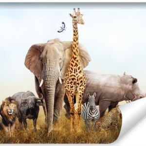 Fototapeta Zwierzęta Zoo SAFARI Afryka 3D 300x210cm 255114 Fototapeta Zwierzęta Zoo SAFARI Afryka 3D 300x210cm 255114