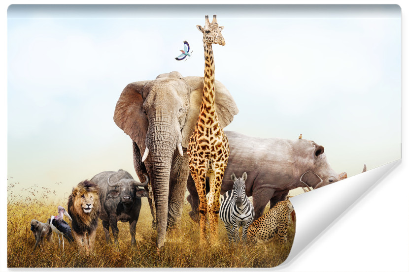 Fototapeta Zwierzęta Zoo SAFARI Afryka 3D 360x240cm 255102