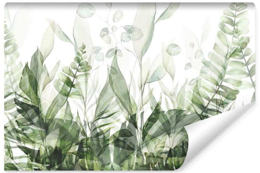 Fototapety Do Sypialni Zielone Liście Tropikalne 368x280cm 122611