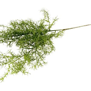 Gałązka Asparagusa 80 cm zielona 310727 Gałązka Asparagusa 80 cm zielona 310727