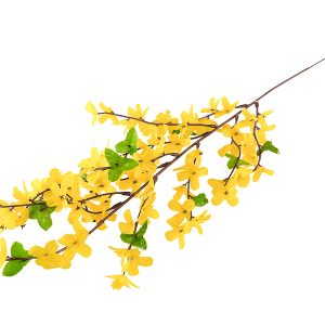 Gałązka forsycji 68 cm żółta 55227 Gałązka forsycji 68 cm żółta 55227