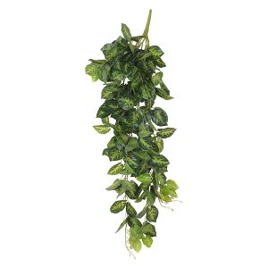 Gałązka Variegata 100 cm 52268 Gałązka Variegata 100 cm 52268